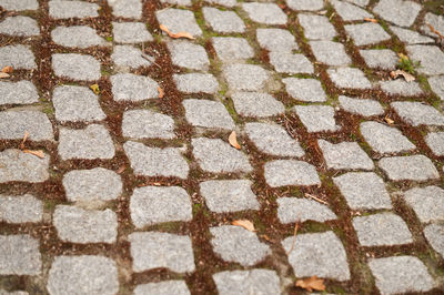 Full frame shot of tiled floor