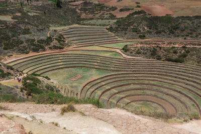 High angle view of agricultural field