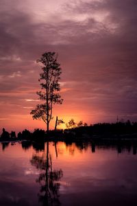 Silhouette tree by lake against sky during sunset