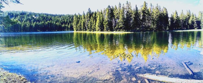 Reflection of trees in lake against sky