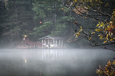 Scenic view of lake in forest