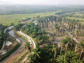 High angle view of trees on field against sky