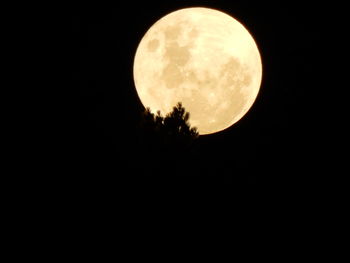 Low angle view of moon in sky