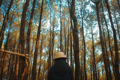 Low angle view of woman standing in forest