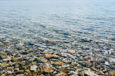 High angle view of pebbles on beach