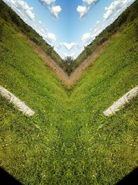 grass