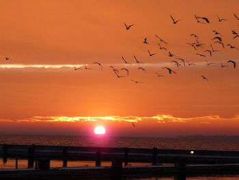 Scenic view of sea against orange sky