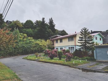 Plants growing outside building by road against sky