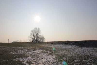 Scenic view of field against clear sky