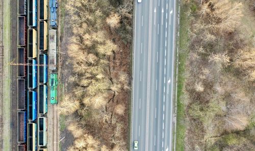 Full frame shot of trees seen through window