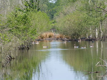 Scenic view of lake