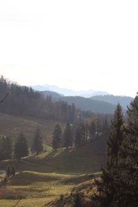 Scenic view of landscape against clear sky