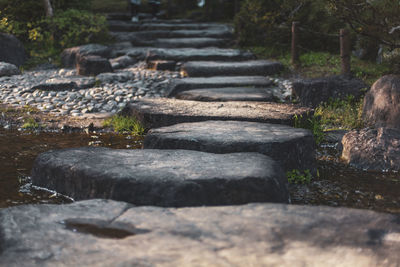 Surface level of stones in forest