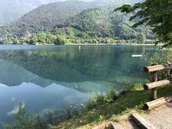 Scenic view of lake in forest