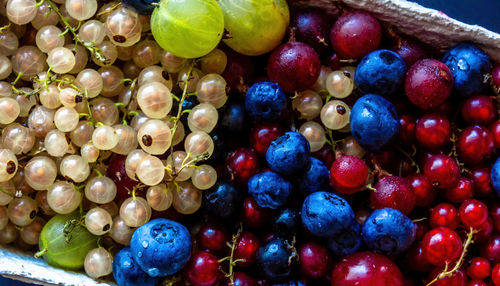 Full frame shot of grapes