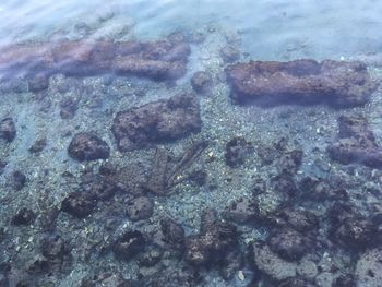 Full frame shot of sea shore