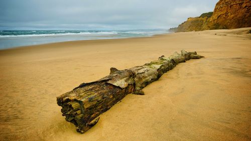 Scenic view of beach against sky