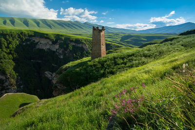 Scenic view of grassy field against sky