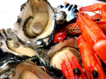 Close-up of shrimps and oysters 