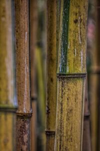 Close-up of rusty metal