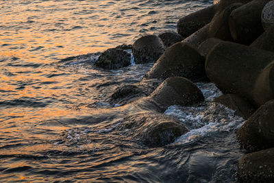 Waves splashing on rocks at shore