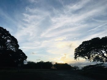 Silhouette trees on field against sky at sunset