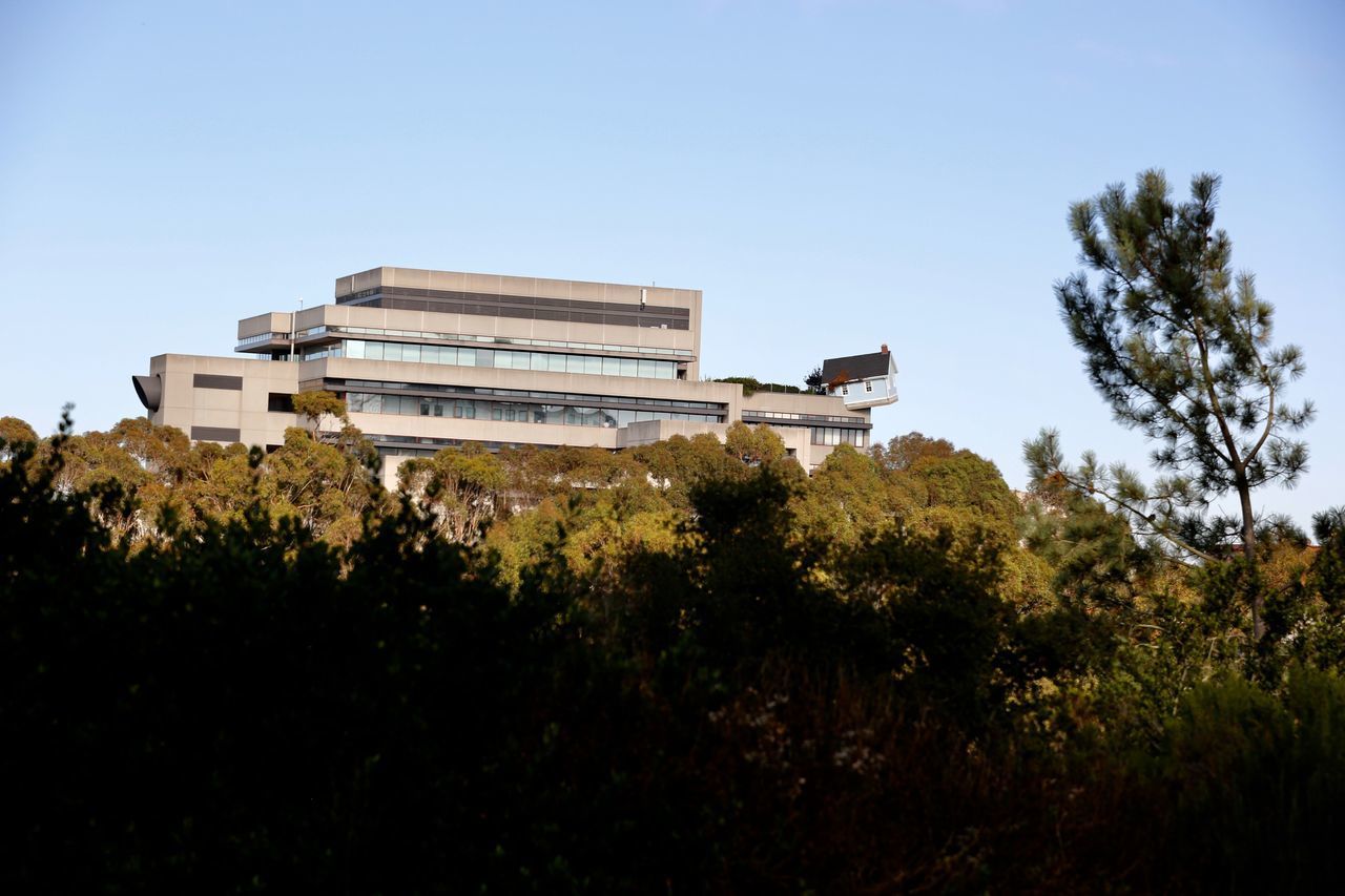 LOW ANGLE VIEW OF TREES AND BUILDING AGAINST CLEAR SKY