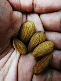 Close-up of hand holding bread