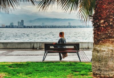 Rear view of man sitting on bench in park