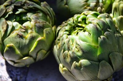 Close-up of vegetables on table