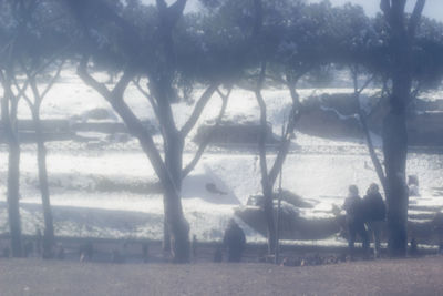 Trees on landscape against sea