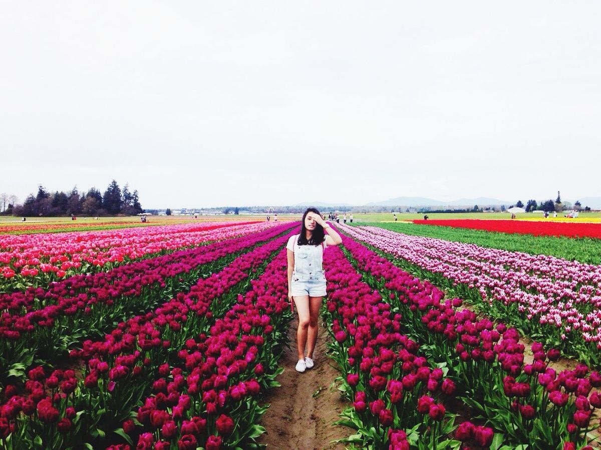 flower, rear view, field, lifestyles, leisure activity, beauty in nature, clear sky, freshness, agriculture, copy space, nature, growth, person, standing, full length, walking, abundance, casual clothing