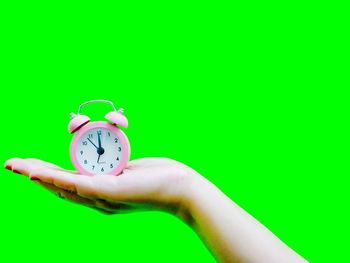 Midsection of person holding leaf against green background