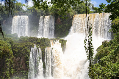 Scenic view of waterfall in forest