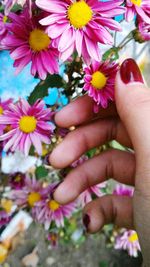 Close-up of hand with flowers