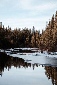 Scenic view of lake against sky