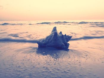 Close-up of ice on beach against sky during sunset