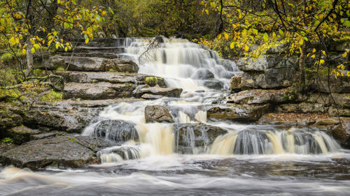 Waterfall in forest