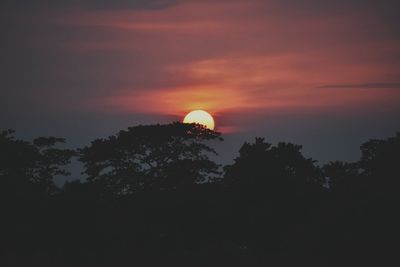 Low angle view of silhouette trees against sky during sunset