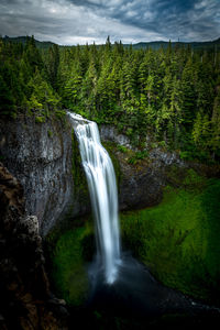 Salt creek falls in central oregon