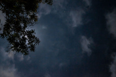 Low angle view of silhouette tree against sky