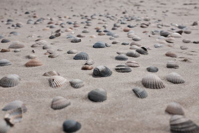 View of beach