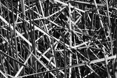 Full frame shot of grass