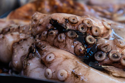 Close-up of fresh seafood