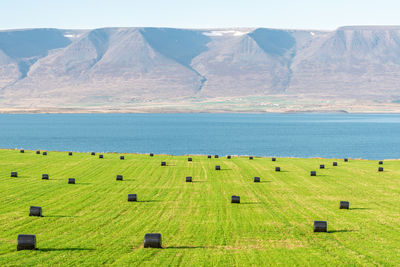 Scenic view of sea against mountain