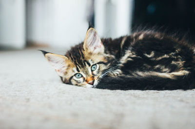 Young woman close face book sitting on bed in the loft art work studio room