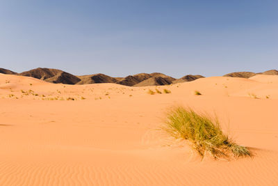 Scenic view of desert against clear blue sky