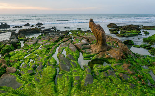 Rocks on beach against sky