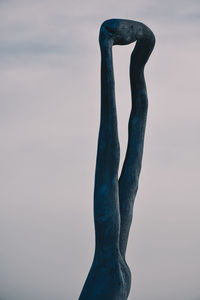 Close-up of frozen tree against sky during sunset