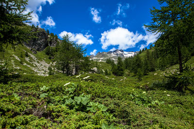 Scenic view of mountains against cloudy sky